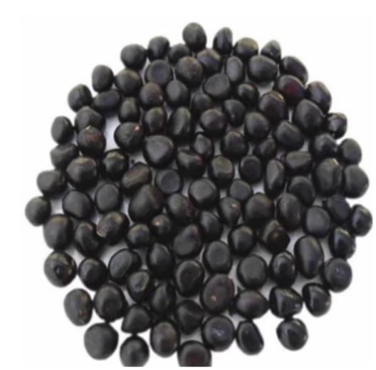 🌺THE QUEEN OF FLOWERS—DOUBLE PETALED PIANI