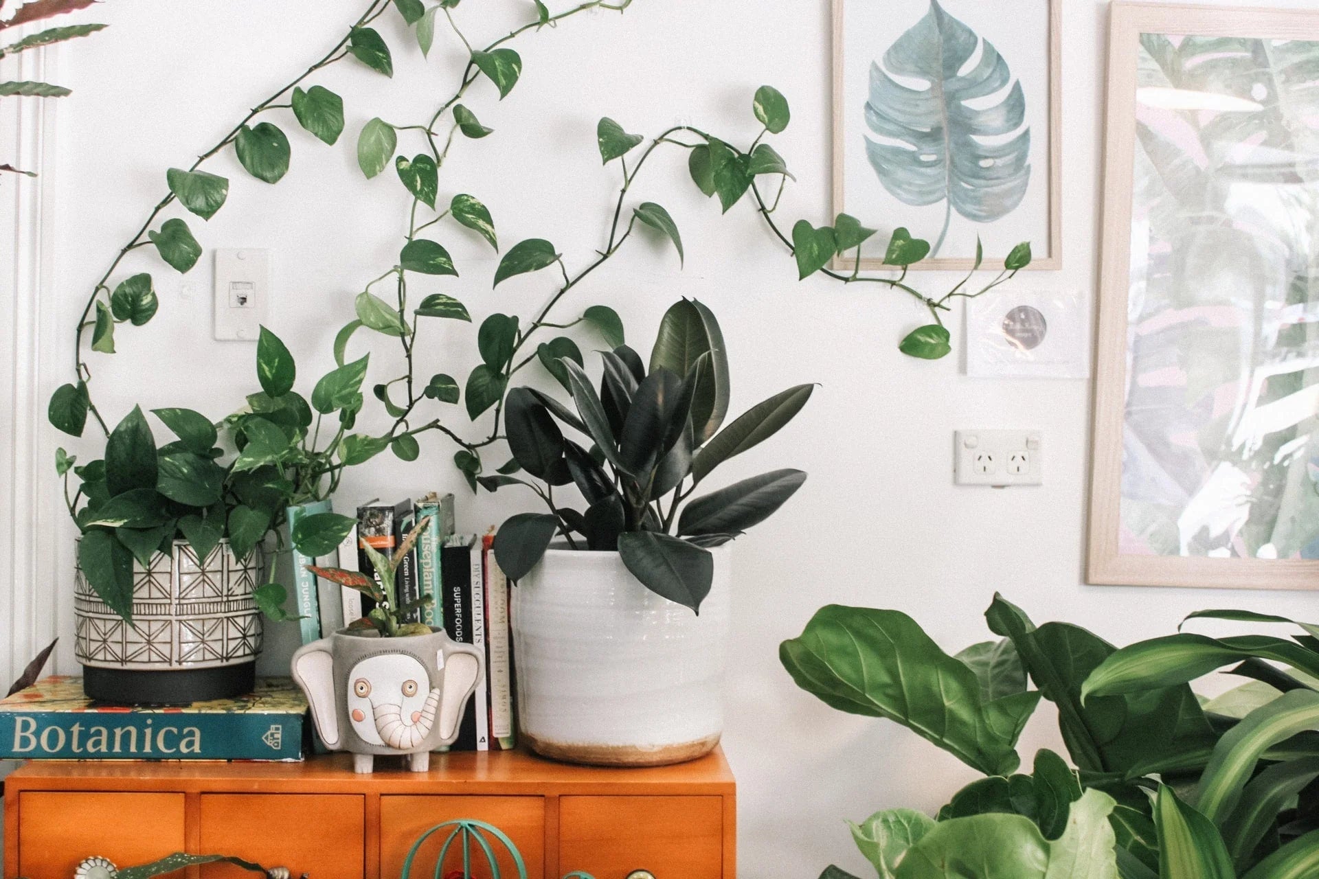 HOME DECOR – yooyapp