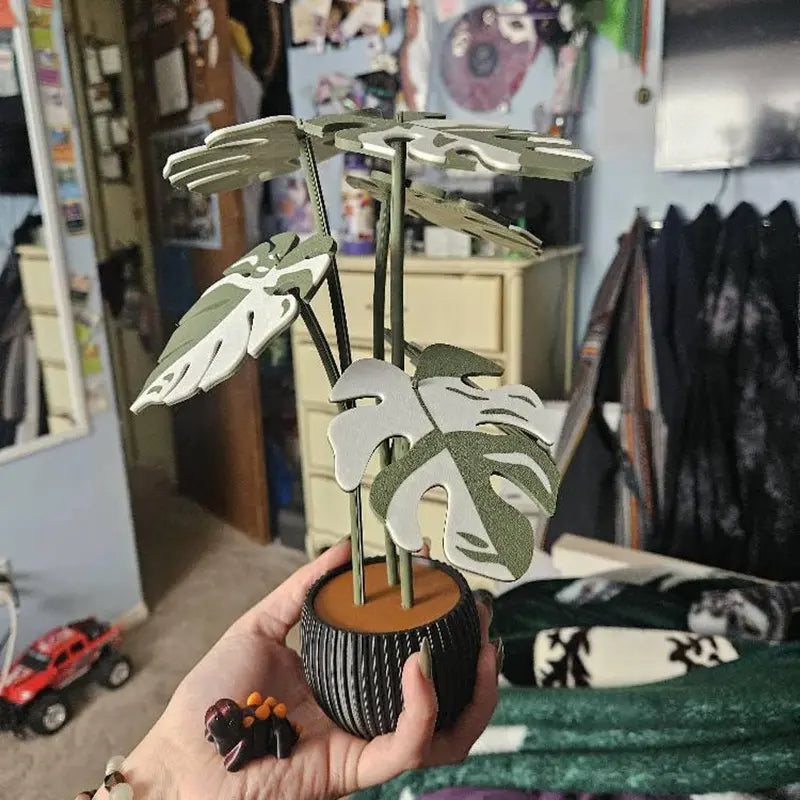 Monstera Plant Coaster Set