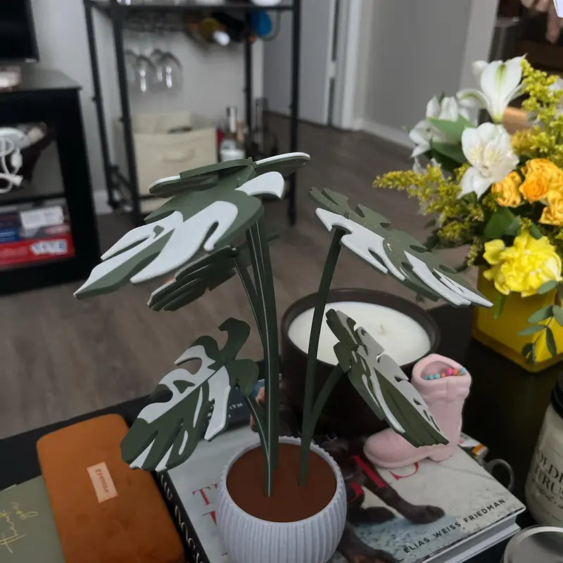 Monstera Plant Coaster Set