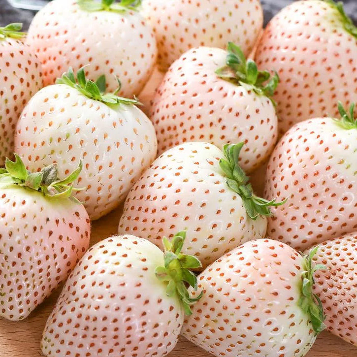 🍓Cream Giant Strawberry Seeds -- Various shapes & Natural juices🥤（500 grain）