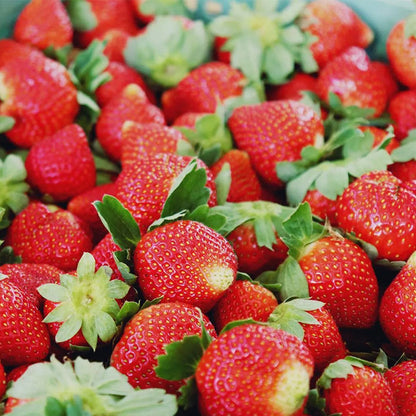 🍓Cream Giant Strawberry Seeds -- Various shapes & Natural juices🥤（500 grain）