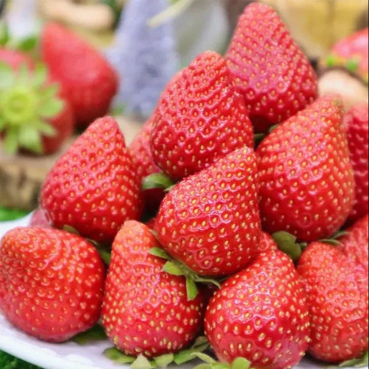 🍓Cream Giant Strawberry Seeds -- Various shapes & Natural juices🥤（500 grain）