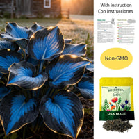 500 Capsules(Small Garden)