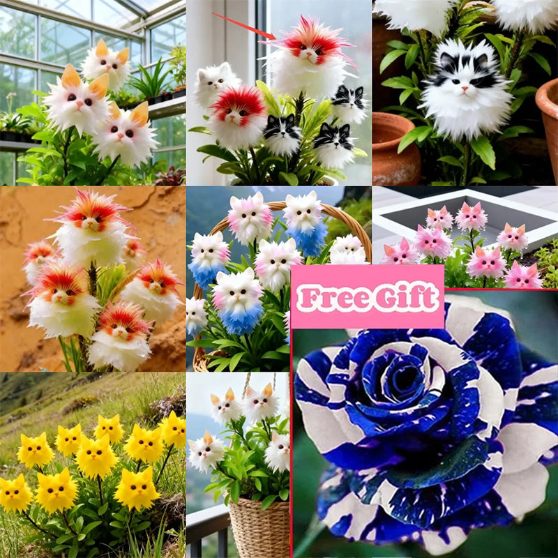 Magical plants! Cat's eye dazzling series✨