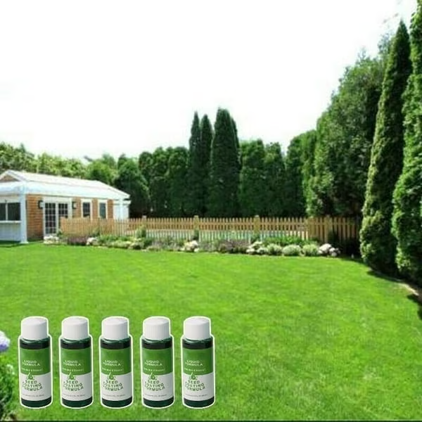 Instant Green Lawn Spray – HydroSeeding Grass in Seconds!
