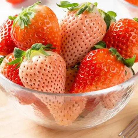🍓Cream Giant Strawberry Seeds -- Various shapes & Natural juices🥤（500 grain）