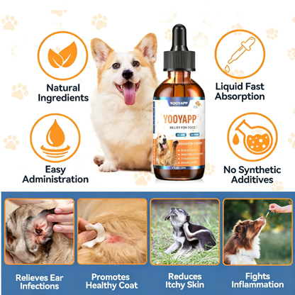 Puppy Yeast Relief Agent