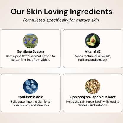 Original Changing Foundation-4-in-1