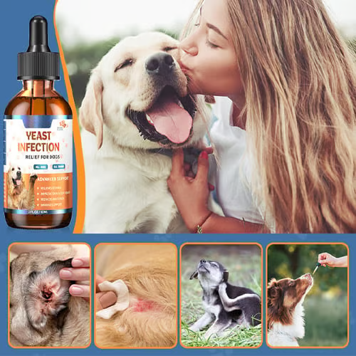 Puppy Yeast Relief Agent