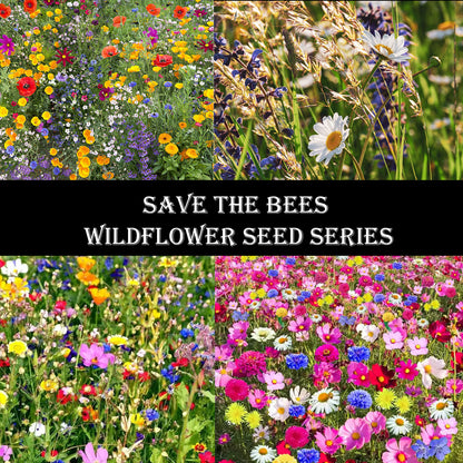 🐝Insect-friendly🔥Over 60 Mixed Perennial Flower Seeds🌿Pure Non-GMO