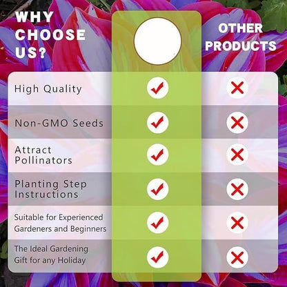 🎁2025 Special Offer🍃 Rare Coleus Flower Seeds🌿