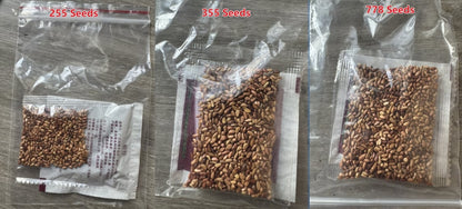 🌹Climbing Vine Rose Flower Seeds