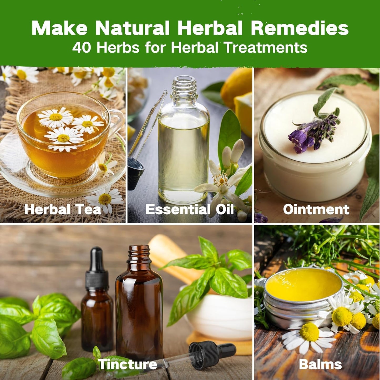 The Ancestral Apothecary Seed Chest - 40 Varieties of Medicinal Herb Seeds