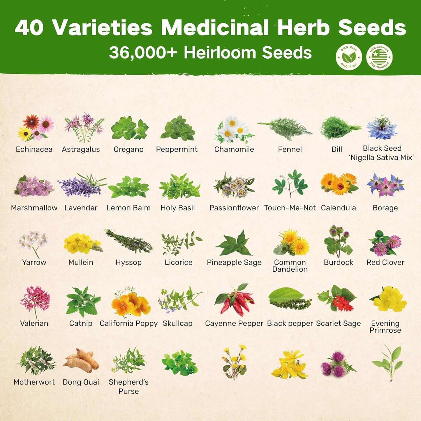 The Ancestral Apothecary Seed Chest - 40 Varieties of Medicinal Herb Seeds