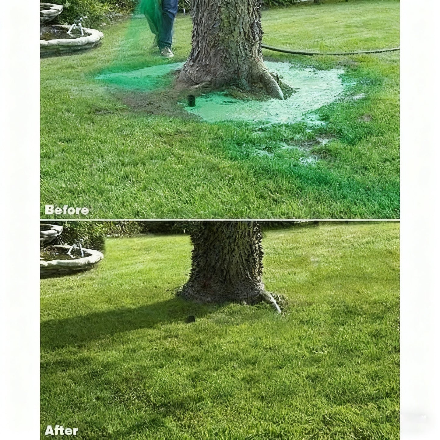 Instant Green Lawn Spray – HydroSeeding Grass in Seconds!