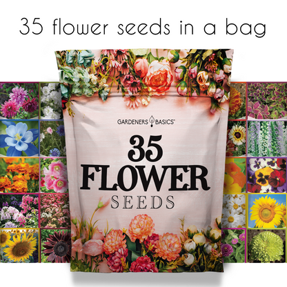 Wildflower, Perennial, & Annual Flower Seed Kit | 35 Variety Pack