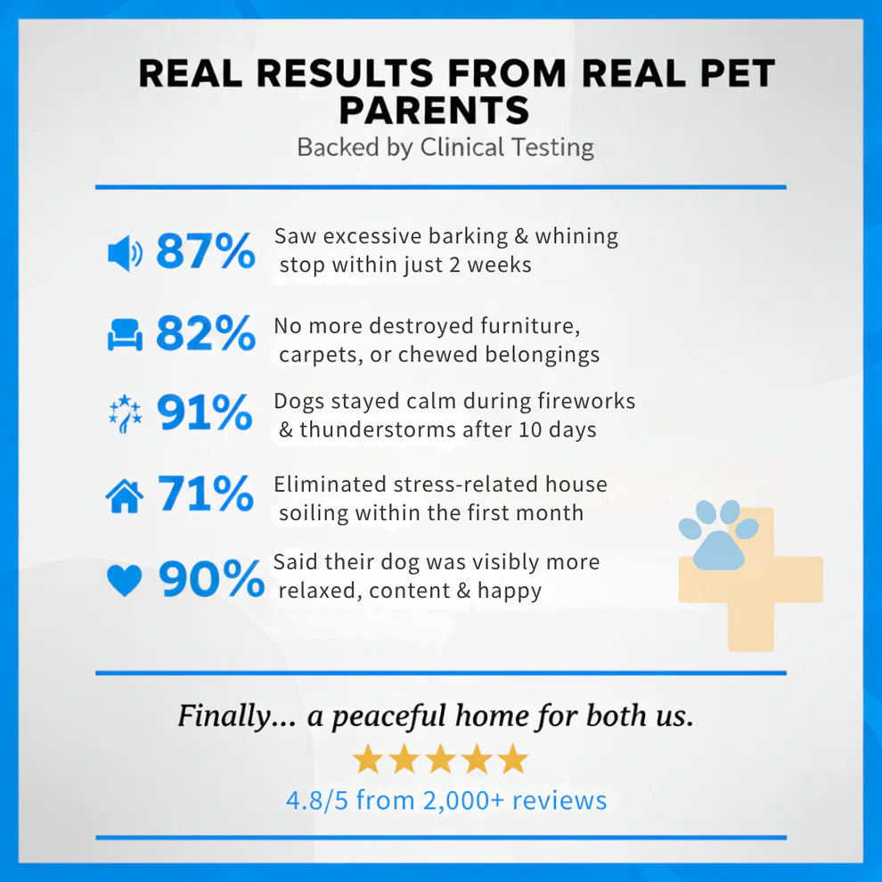 Calming Diffuser That Calms Anxiety in Just 24 Hours