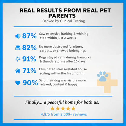 Calming Diffuser That Calms Anxiety in Just 24 Hours