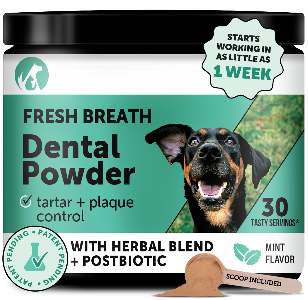 Pet Dental Powder