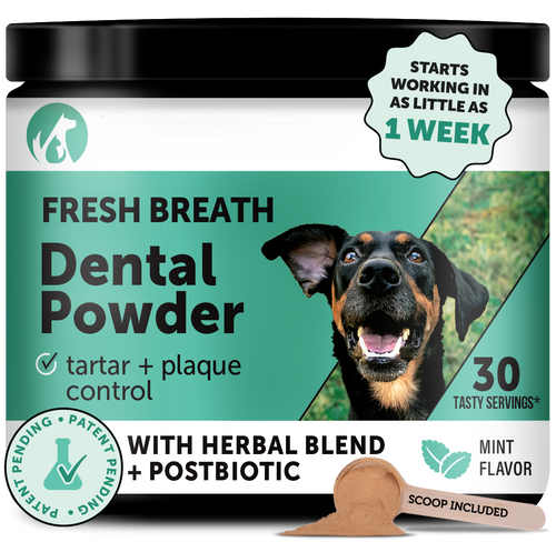 Pet Dental Powder