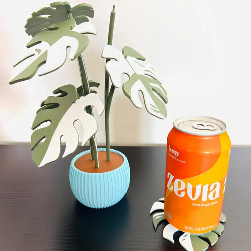 Monstera Plant Coaster Set