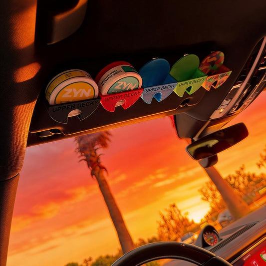 3D Printed Car SunVisor Storage Cover