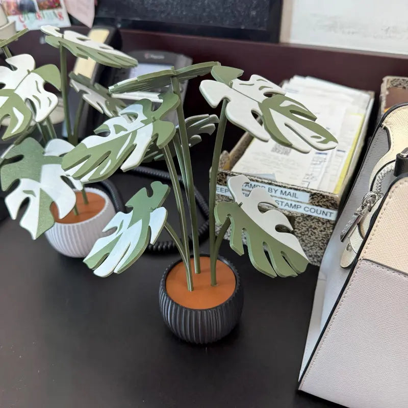 Monstera Plant Coaster Set