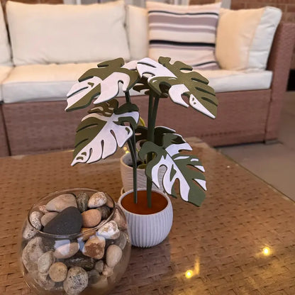 Monstera Plant Coaster Set