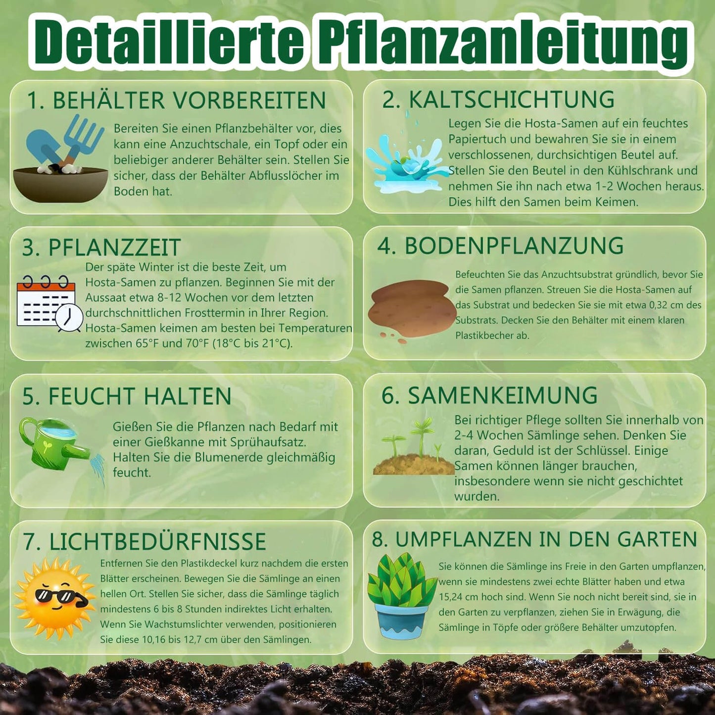 🌌Hosta-Samen, mehrjährige Schattenpflanze für den Garten