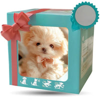 Second generation bow (white)