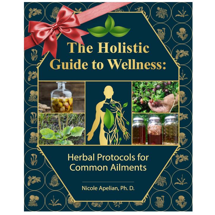 The Holistic Guide to Wellness: Herbal Protocols for Common Ailments