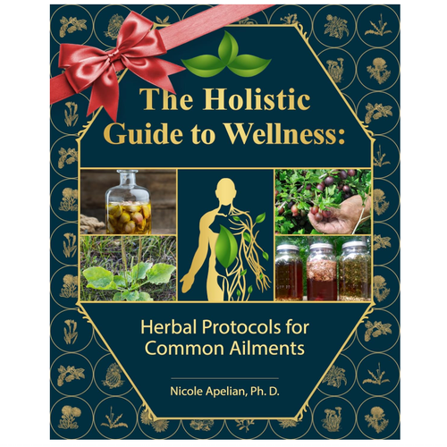 The Holistic Guide to Wellness: Herbal Protocols for Common Ailments