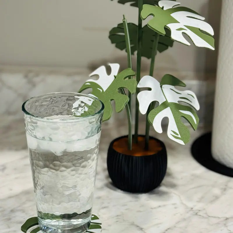 Monstera Plant Coaster Set