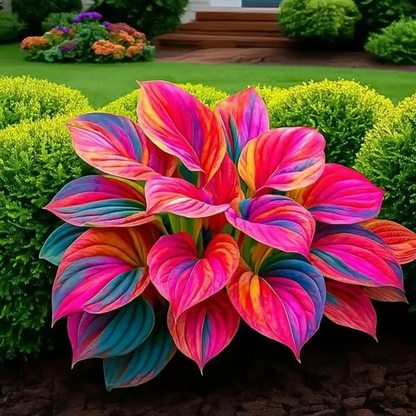 🌞 “Easy-to-Grow Colorful Hostas for Year-Round Beauty”